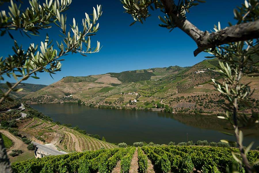 Visit Us Quinta Do Seixo Winery Cellars