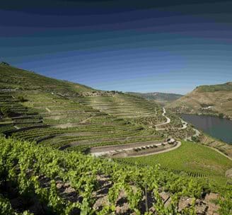 Quinta Do Seixo Douro Scaled