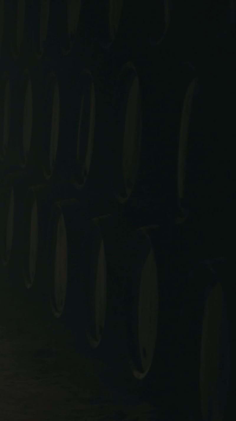 Cap 03 BG