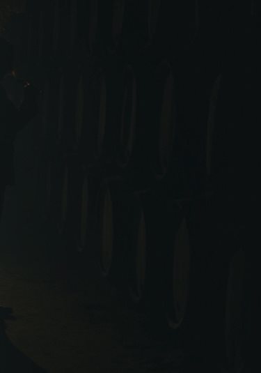 Unveil The Inside 01 BG
