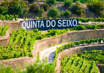 Quinta Seixo